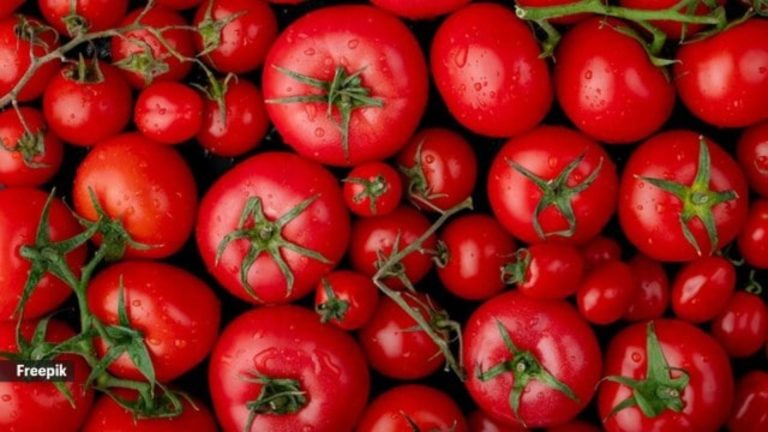 What happens to your body if you eat tomatoes every day?